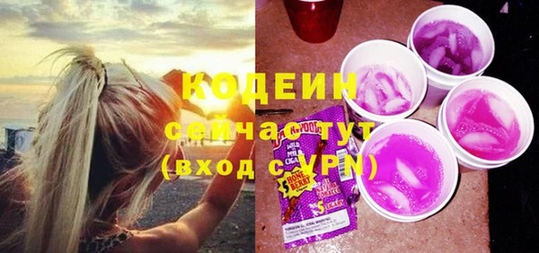 гашик Арсеньев