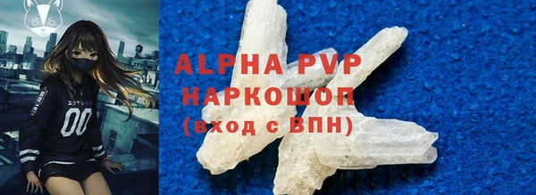 гашик Арсеньев
