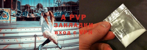 гашик Арсеньев