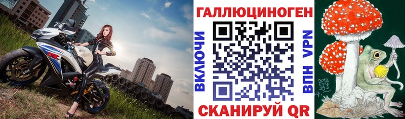 где купить наркоту  Городовиковск  Псилоцибиновые грибы Cubensis 